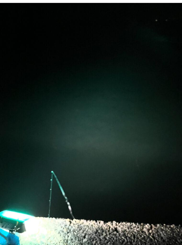 自作集魚灯での実釣テスト写真。白色ライトで爆光