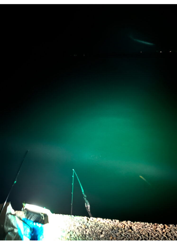 自作集魚灯の緑で海面照射している実釣写真