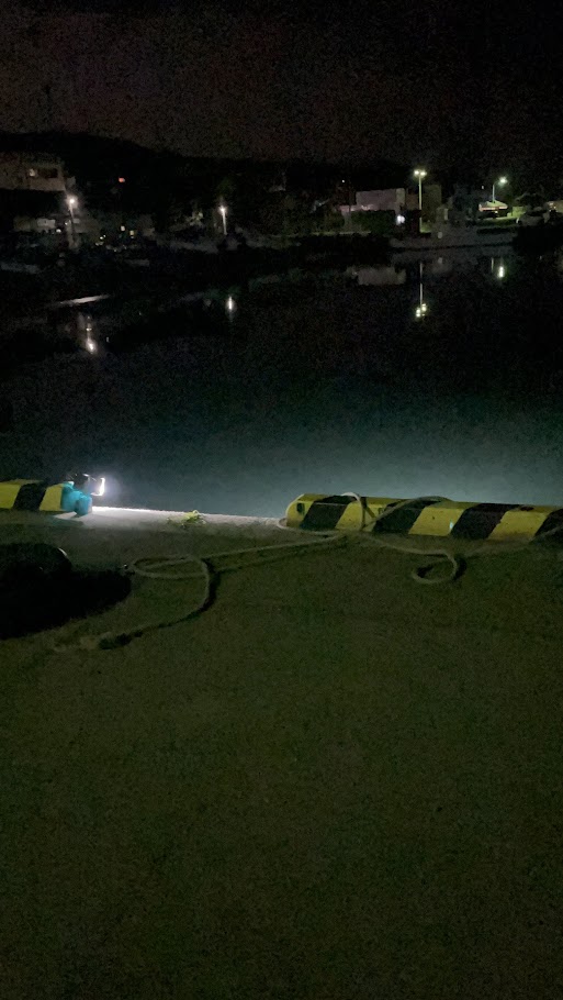 集魚灯を港内で照らして居る風景の引きで撮影した写真。闇夜に爆光を出し、存在感があり。ベイトが集まってきている