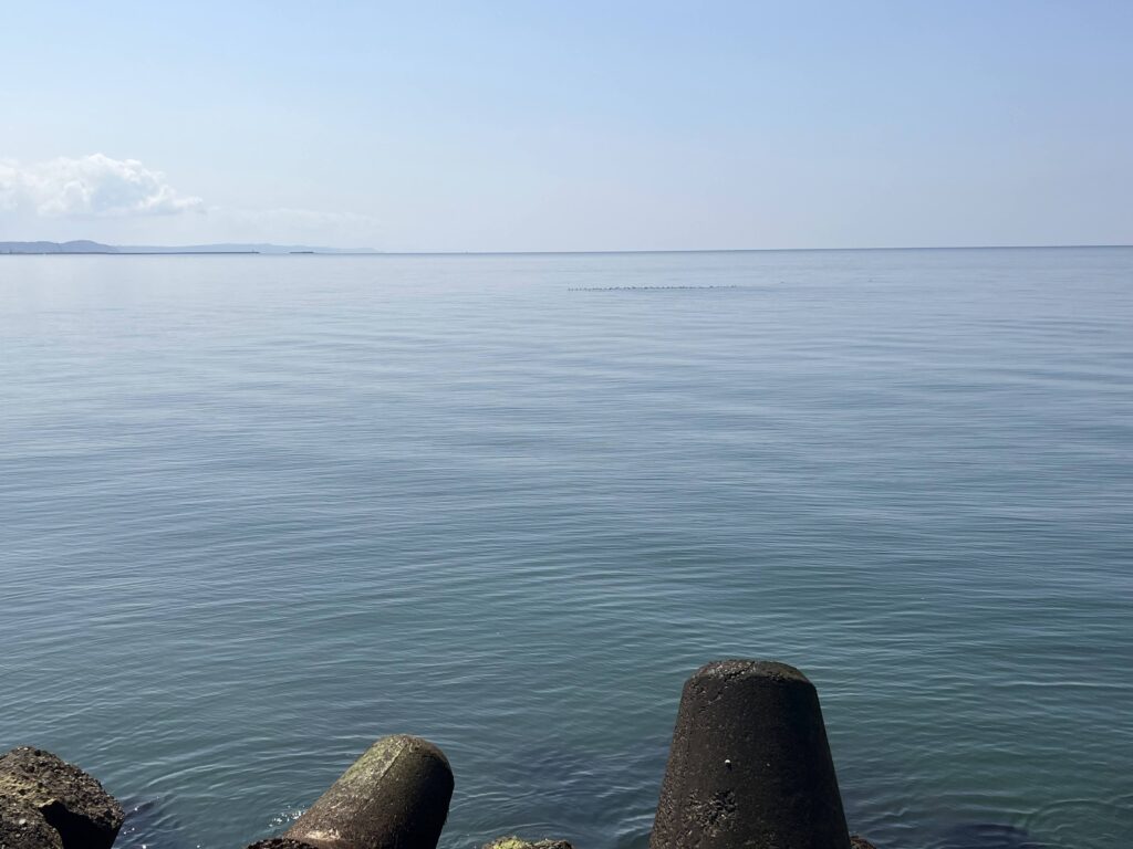2026/3/27の新潟県寺泊エリア野積での釣行の際に撮影　突堤から左側　奥に海鳥たちが浮いている