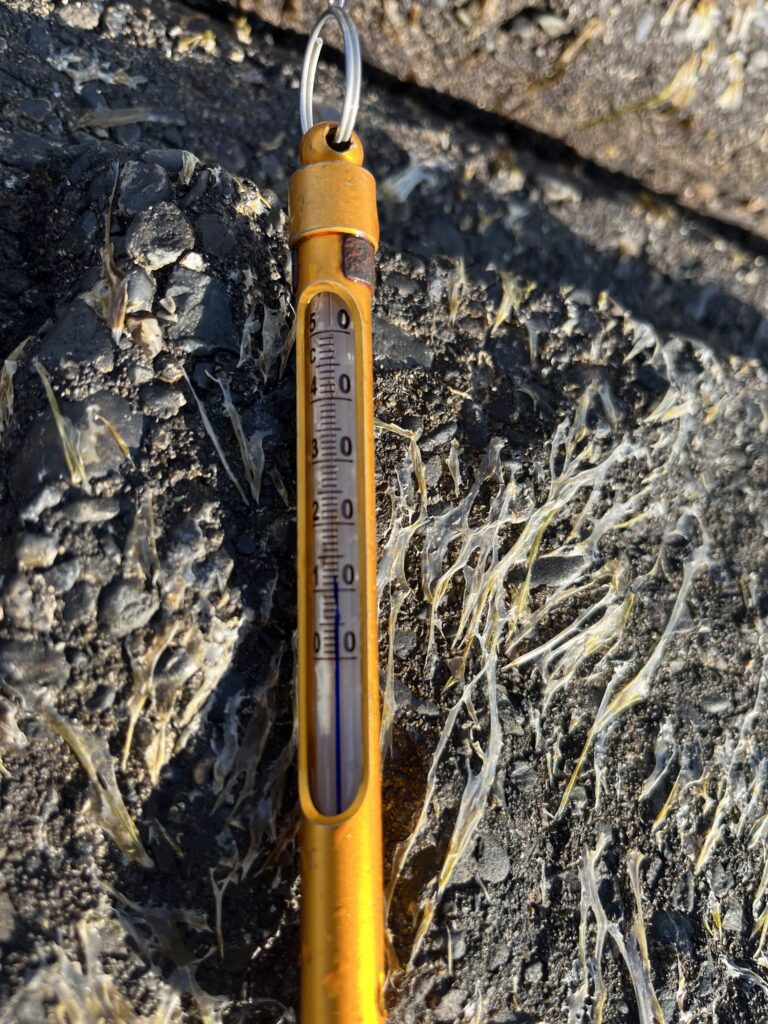 2026/3/27の新潟県寺泊エリア大和田での釣行の際に撮影　水温計が12度を示す