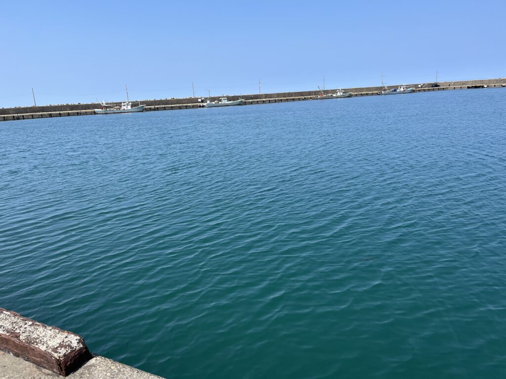 2026/4/3の新潟県出雲崎エリアでの釣行の際に撮影 漁港湾内の写真