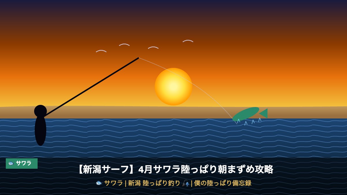 【新潟サーフ】4月サワラ陸っぱり朝まずめ攻略