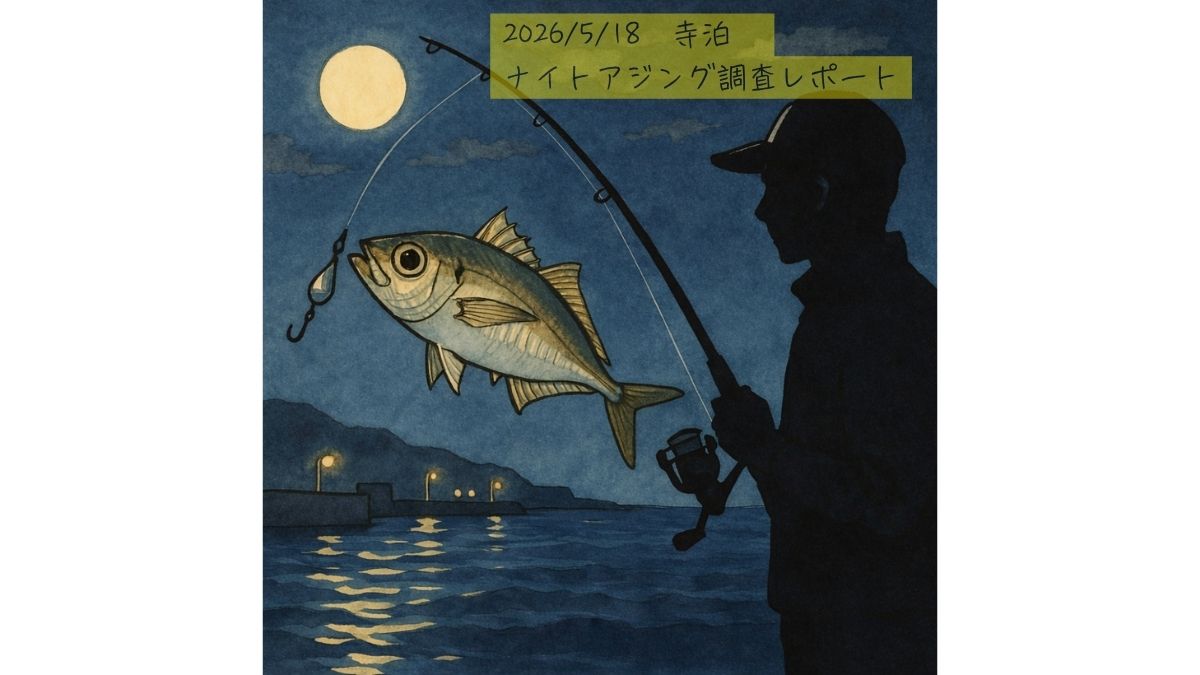 5/18寺泊ナイトアジング釣行。エステルラインの実力発揮